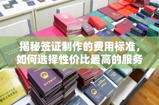 番禺揭秘签证制作的费用标准，如何选择性价比最高的服务？