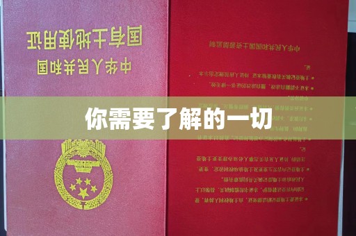 番禺你需要了解的一切
